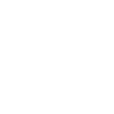 ť